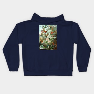 Hummingbirds Trochilidae by Ernst Haeckel Kids Hoodie